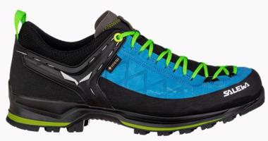 Boty Salewa MS MTN Trainer 2 GTX 61356-8375