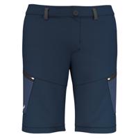 Pánské kraťasy Salewa Alpine Hemp M Cargo shorts 28033-3960